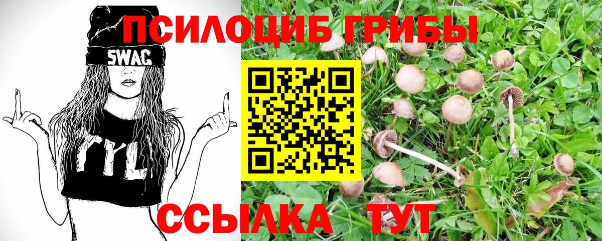 Волжск  Вход с VPN  Наркошоп  Меф МЯУ МЯУ кристаллы  COCAIN  ГАШ  МАРИХУАНА  LSD-25 