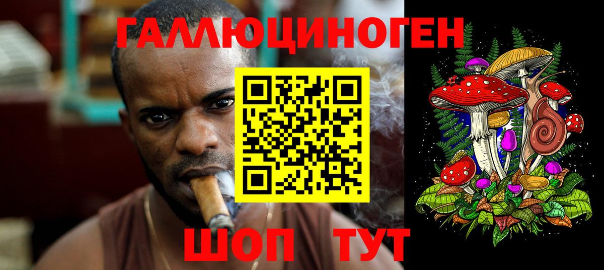 хочу   Псилоцибиновые грибы прущие грибы  Вход с VPN  Волжск 